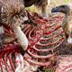Image for article titled Why Vultures Don't Die From Food Poisoning